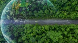 Vogelperspektive Auto fährt auf Landstraße durch Wald.