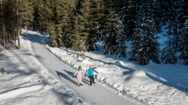 2 Personen fahren Schlittschuh im Wald