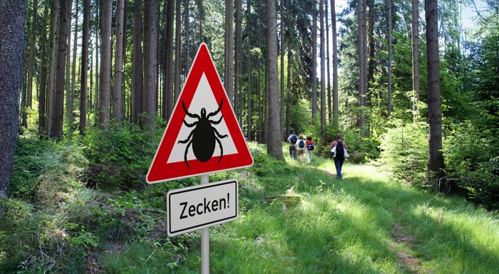 Wandergruppe läuft durch den Wald. Ein Schild warnt vor Zecken. 